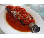 Fish / 鱼类